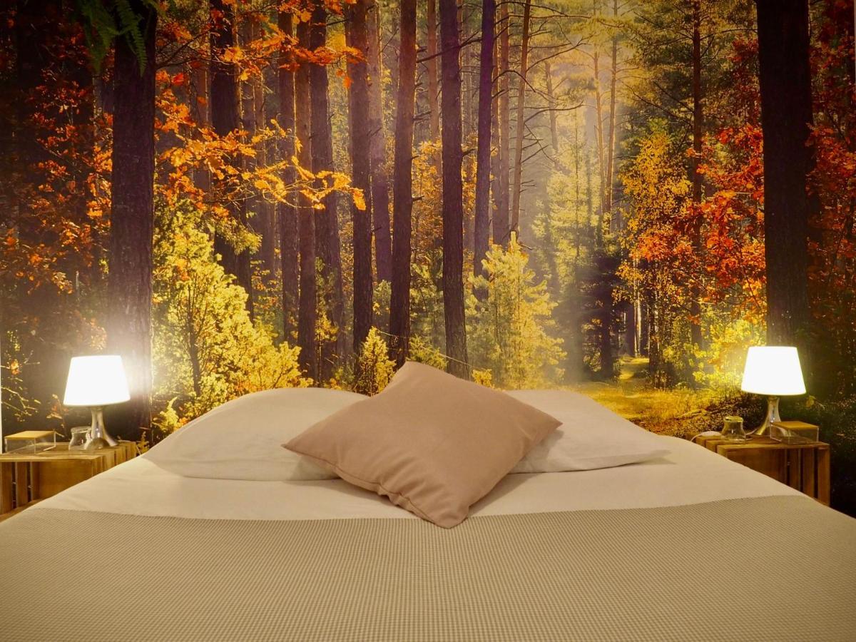 Studio Camino Real Saint-Jean-Pied-de-Port Dış mekan fotoğraf