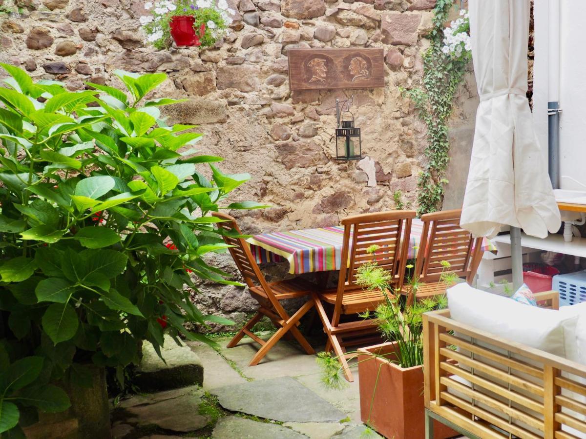 Studio Camino Real Saint-Jean-Pied-de-Port Dış mekan fotoğraf